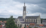baseliek-hulst